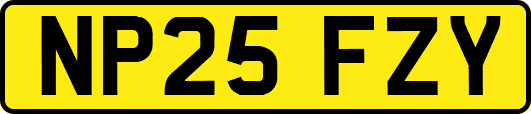 NP25FZY