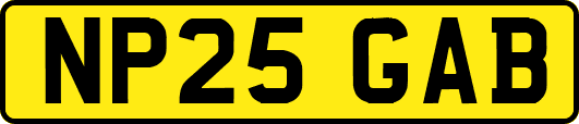 NP25GAB