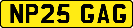 NP25GAG