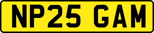 NP25GAM