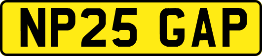 NP25GAP