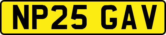 NP25GAV