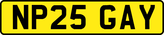 NP25GAY