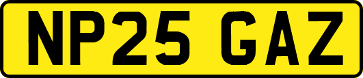 NP25GAZ