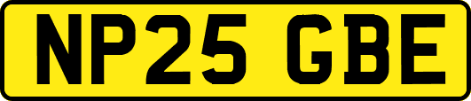 NP25GBE
