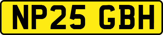 NP25GBH
