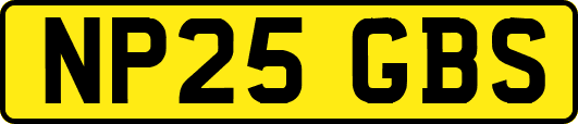 NP25GBS