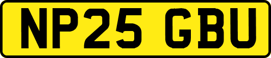 NP25GBU