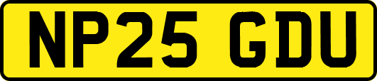 NP25GDU