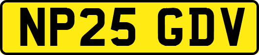 NP25GDV