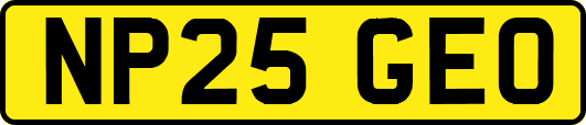 NP25GEO