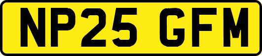 NP25GFM