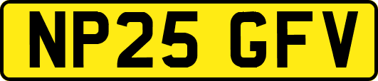 NP25GFV