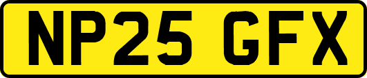 NP25GFX