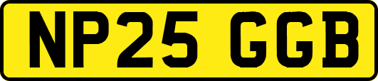 NP25GGB