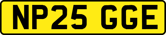 NP25GGE