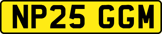 NP25GGM
