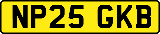 NP25GKB