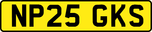 NP25GKS