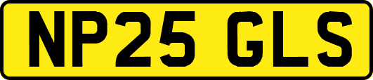 NP25GLS