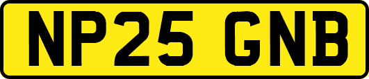 NP25GNB