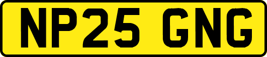 NP25GNG