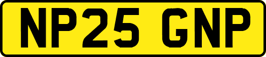NP25GNP