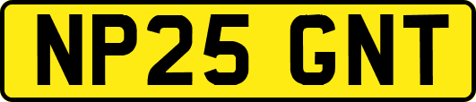 NP25GNT