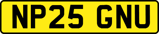 NP25GNU