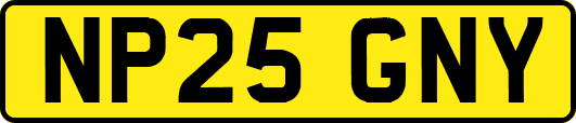 NP25GNY