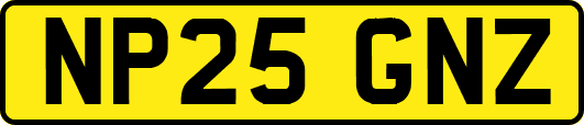 NP25GNZ