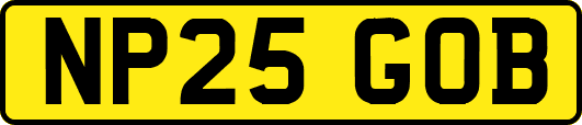 NP25GOB