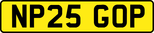 NP25GOP