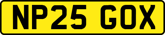 NP25GOX