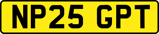 NP25GPT