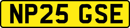 NP25GSE