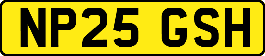 NP25GSH