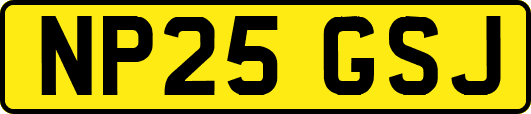NP25GSJ