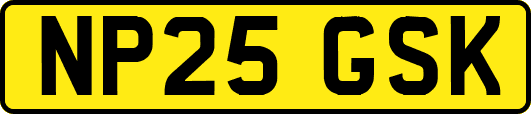 NP25GSK