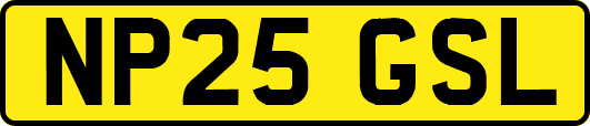 NP25GSL