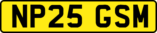 NP25GSM