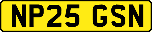 NP25GSN