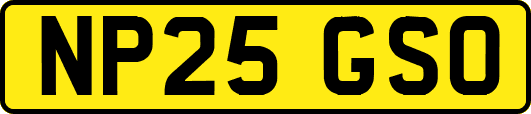 NP25GSO