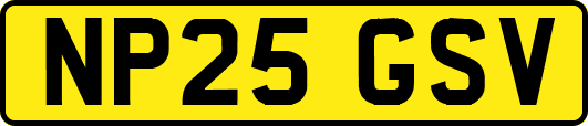 NP25GSV