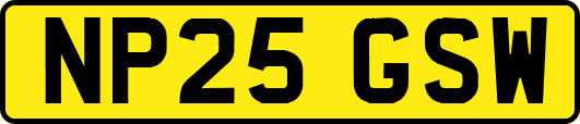NP25GSW