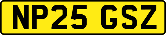 NP25GSZ