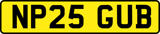 NP25GUB