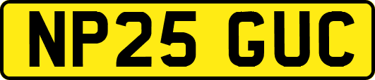 NP25GUC