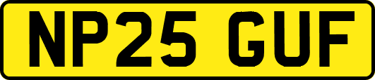 NP25GUF