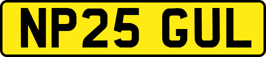 NP25GUL